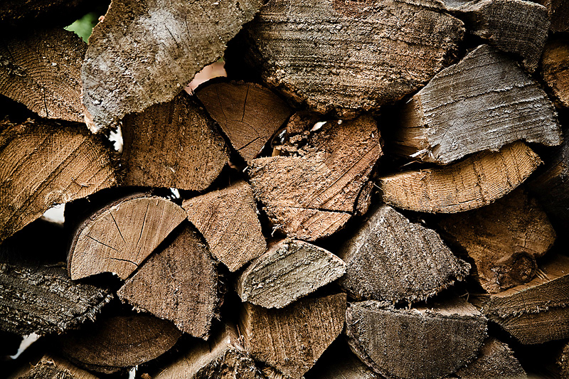 5 Reasons Get Firewood in Spring - The Blog at FireplaceMall